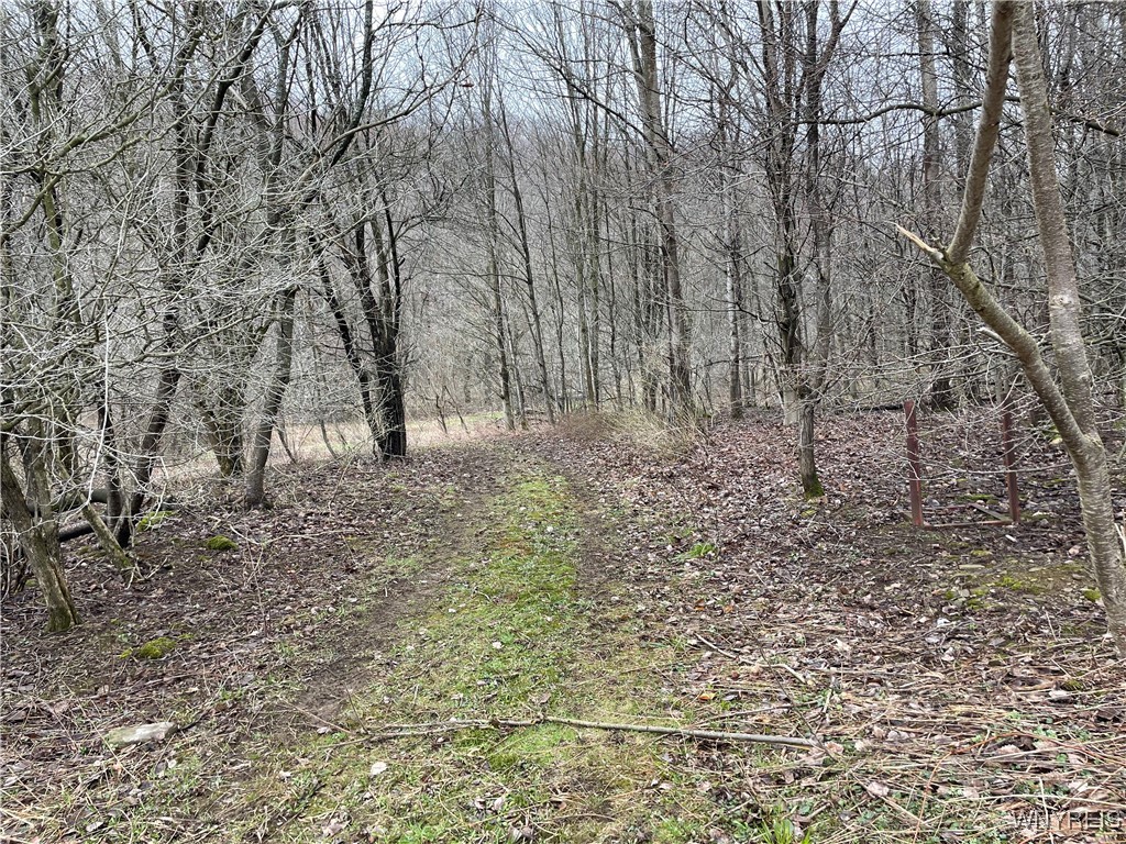 11335 Wyandale Road Concord, NY 14141 - Photo 17 of 29