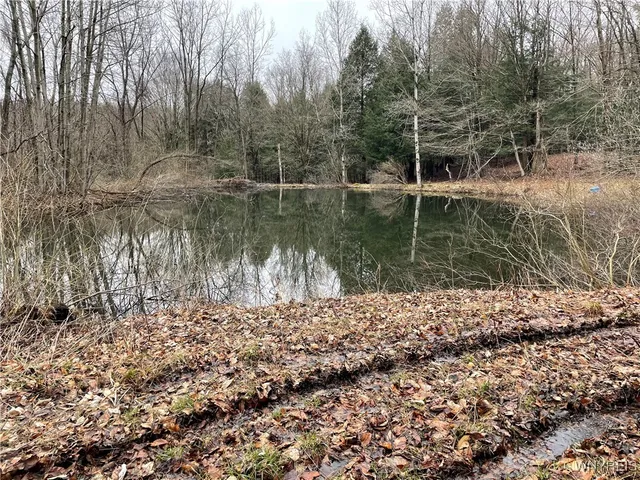 $449,900 | 11335 Wyandale Road, Concord, NY 14141