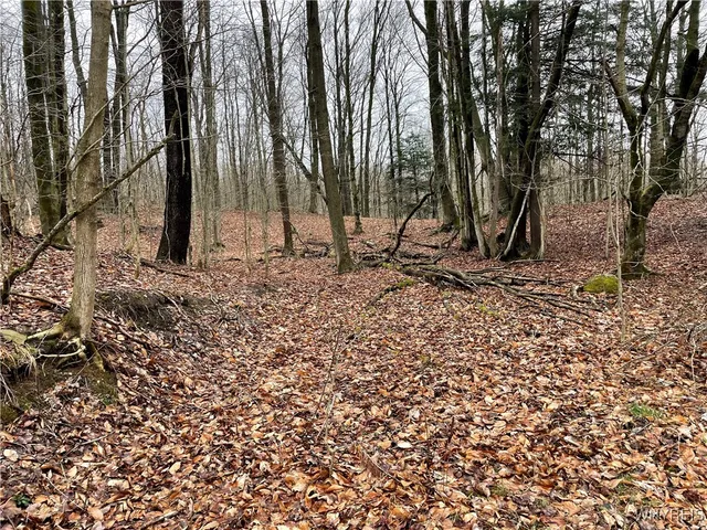 $449,900 | 11335 Wyandale Road, Concord, NY 14141