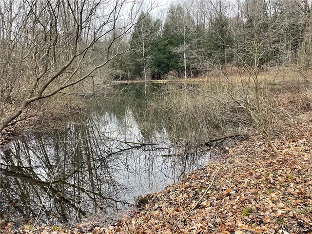 $449,900 | 11335 Wyandale Road, Concord, NY 14141