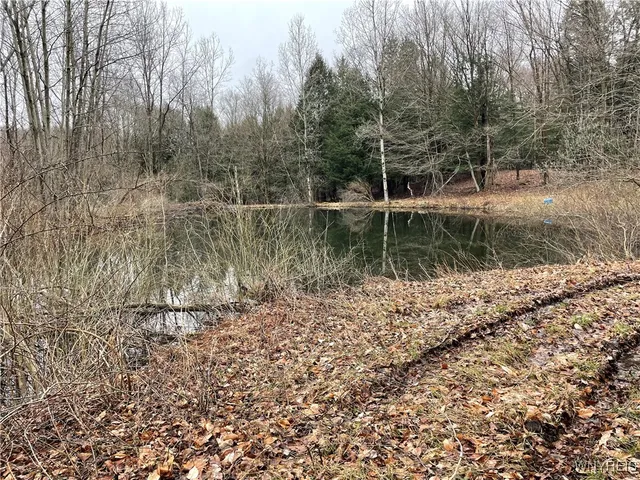 $449,900 | 11335 Wyandale Road, Concord, NY 14141