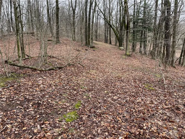 $449,900 | 11335 Wyandale Road, Concord, NY 14141