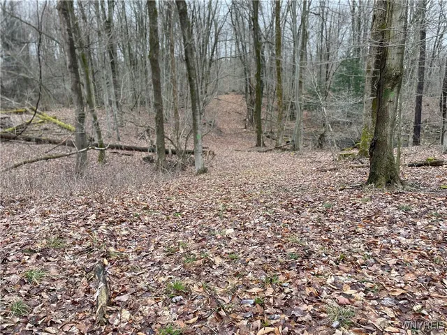 $449,900 | 11335 Wyandale Road, Concord, NY 14141