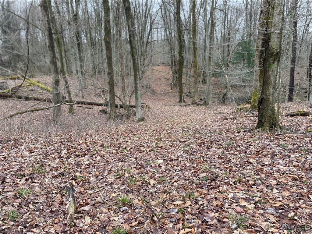 11335 Wyandale Road Concord, NY 14141 - Photo 23 of 29