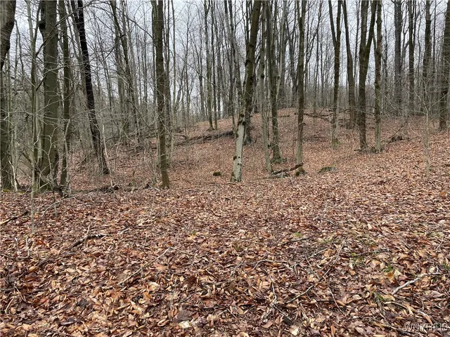 $449,900 | 11335 Wyandale Road, Concord, NY 14141