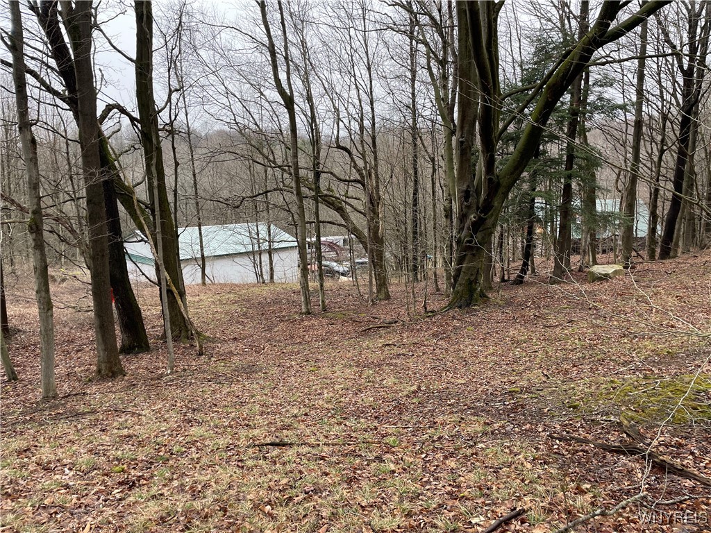 11335 Wyandale Road Concord, NY 14141 - Photo 25 of 29