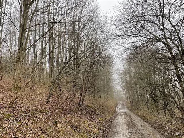 $449,900 | 11335 Wyandale Road, Concord, NY 14141