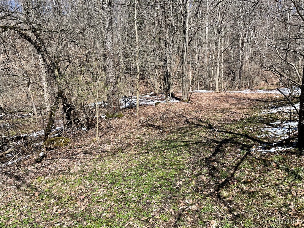 11335 Wyandale Road Concord, NY 14141 - Photo 28 of 29