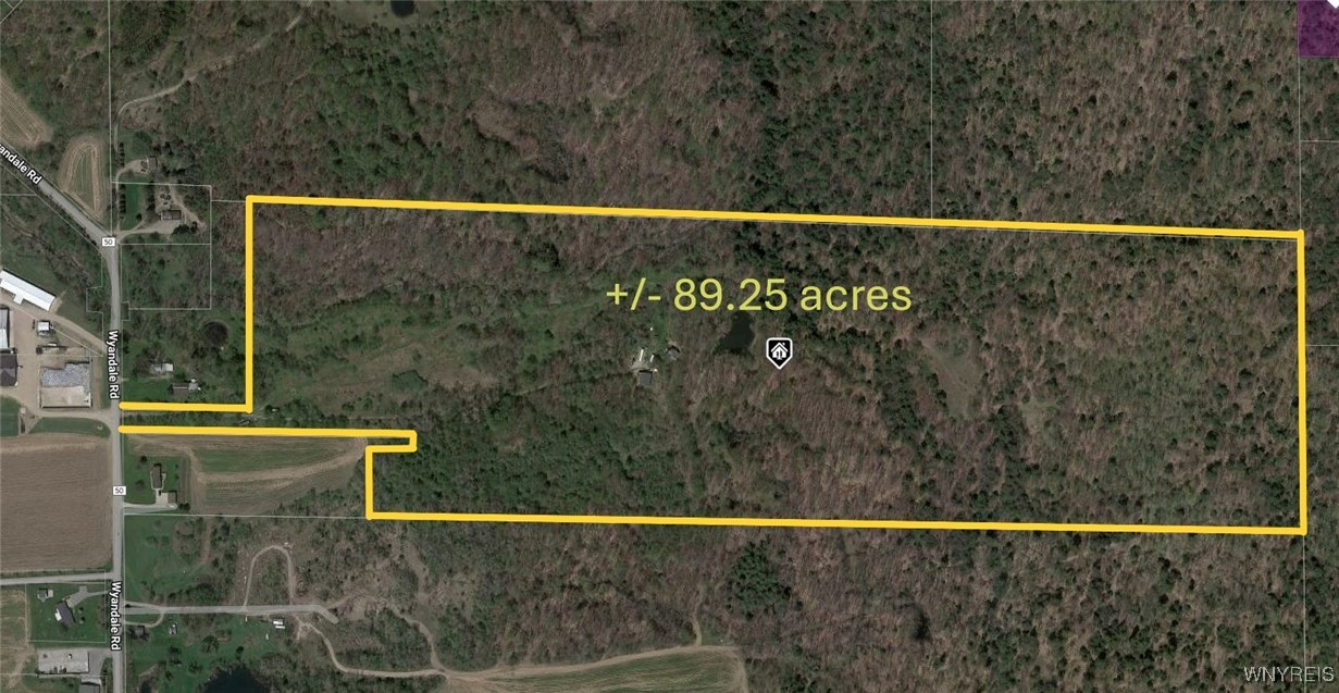 11335 Wyandale Road Concord, NY 14141 - Photo 29 of 29