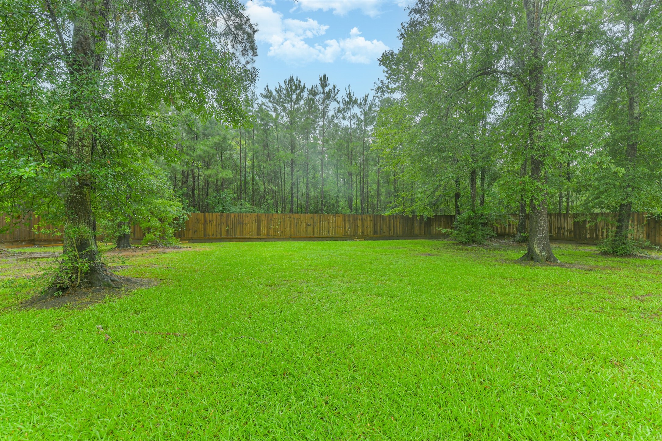 17342 Pecos Drive Splendora, TX 77372 - Photo 50 of 50