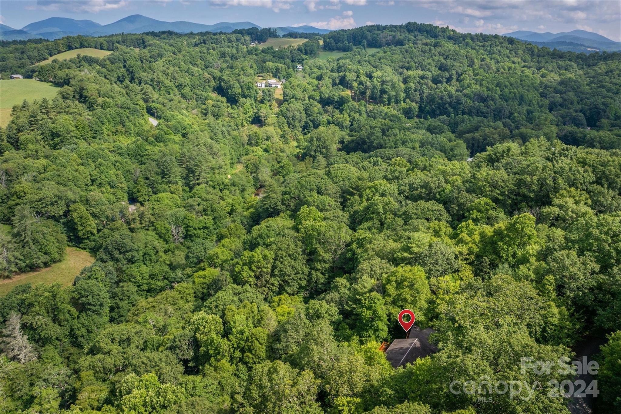 455 Hemlock Hill Road Boone, NC 28607 - Photo 13 of 37 a view of a lush green forest with lots of trees in the background