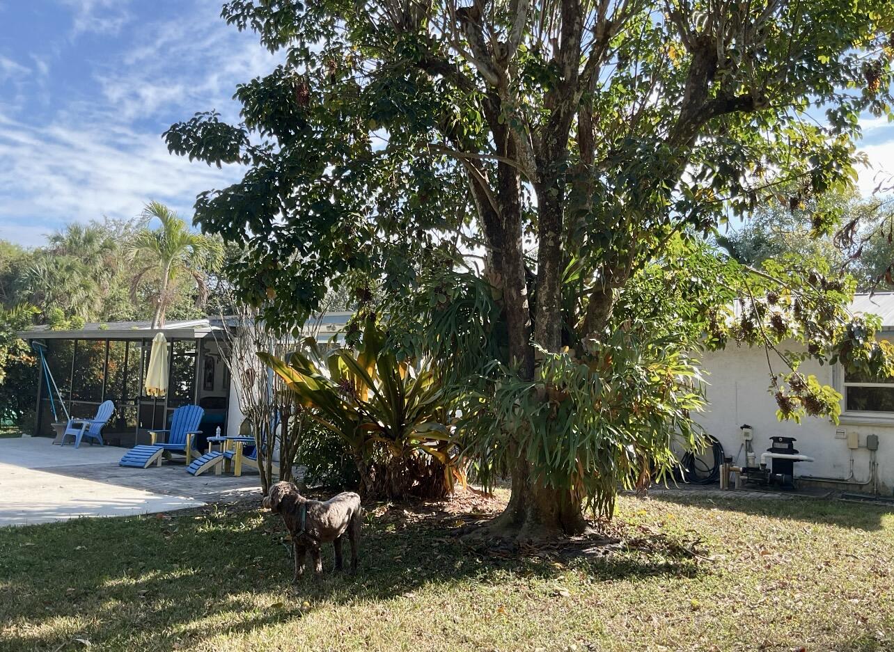 1661 East 14th Street Stuart, FL 34996 - Photo 13 of 15 backyard