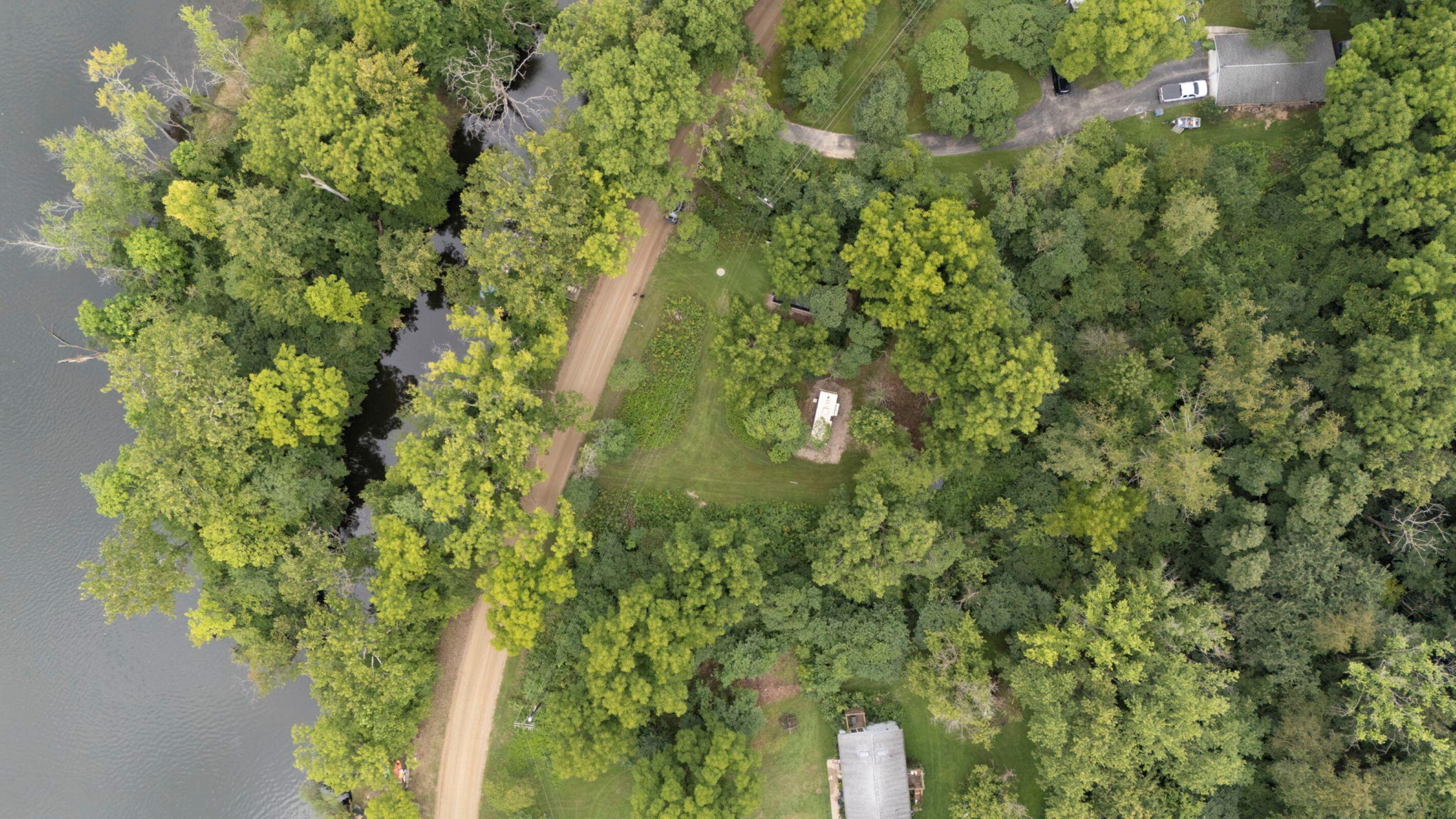 a map view of a tree