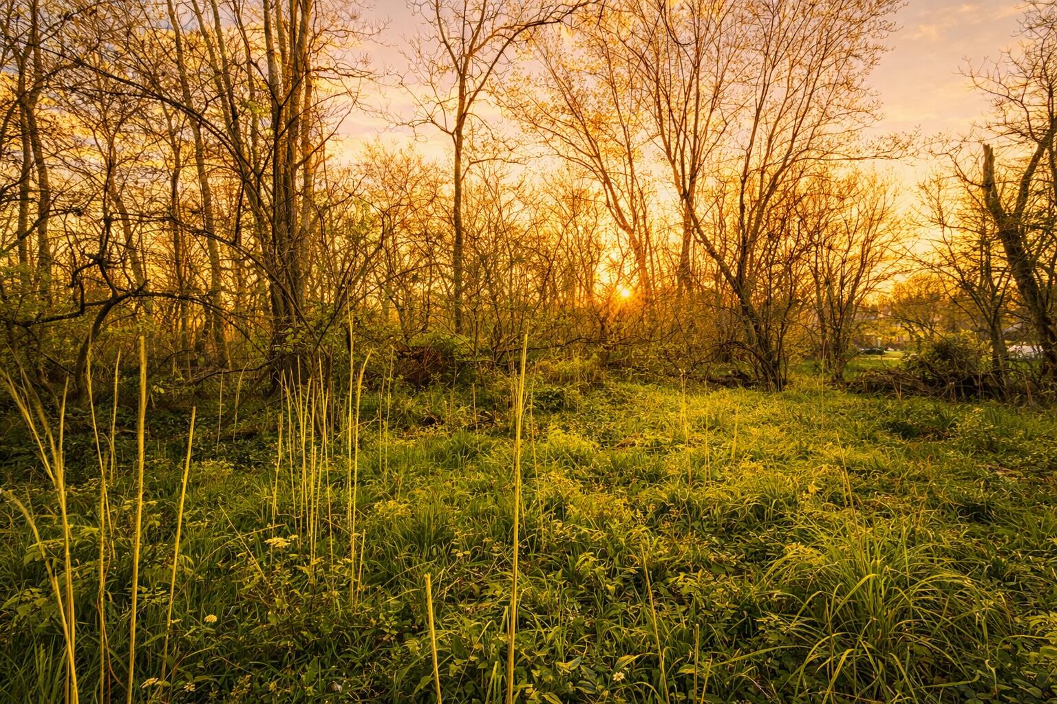 0 East River Road Buchanan, MI 49107 - Photo 11 of 34 1536x1024