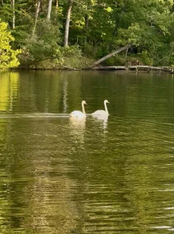 $258,999 | 0 East River Road, Buchanan, MI 49107