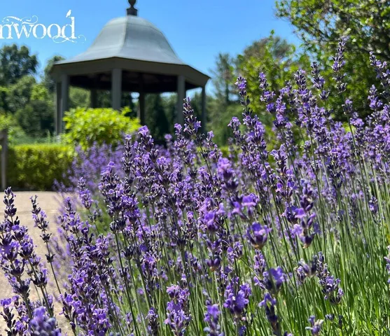 a view of a chairs and table in a patio