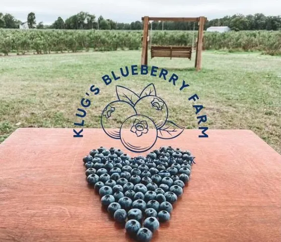 $258,999 | 0 East River Road, Buchanan, MI 49107