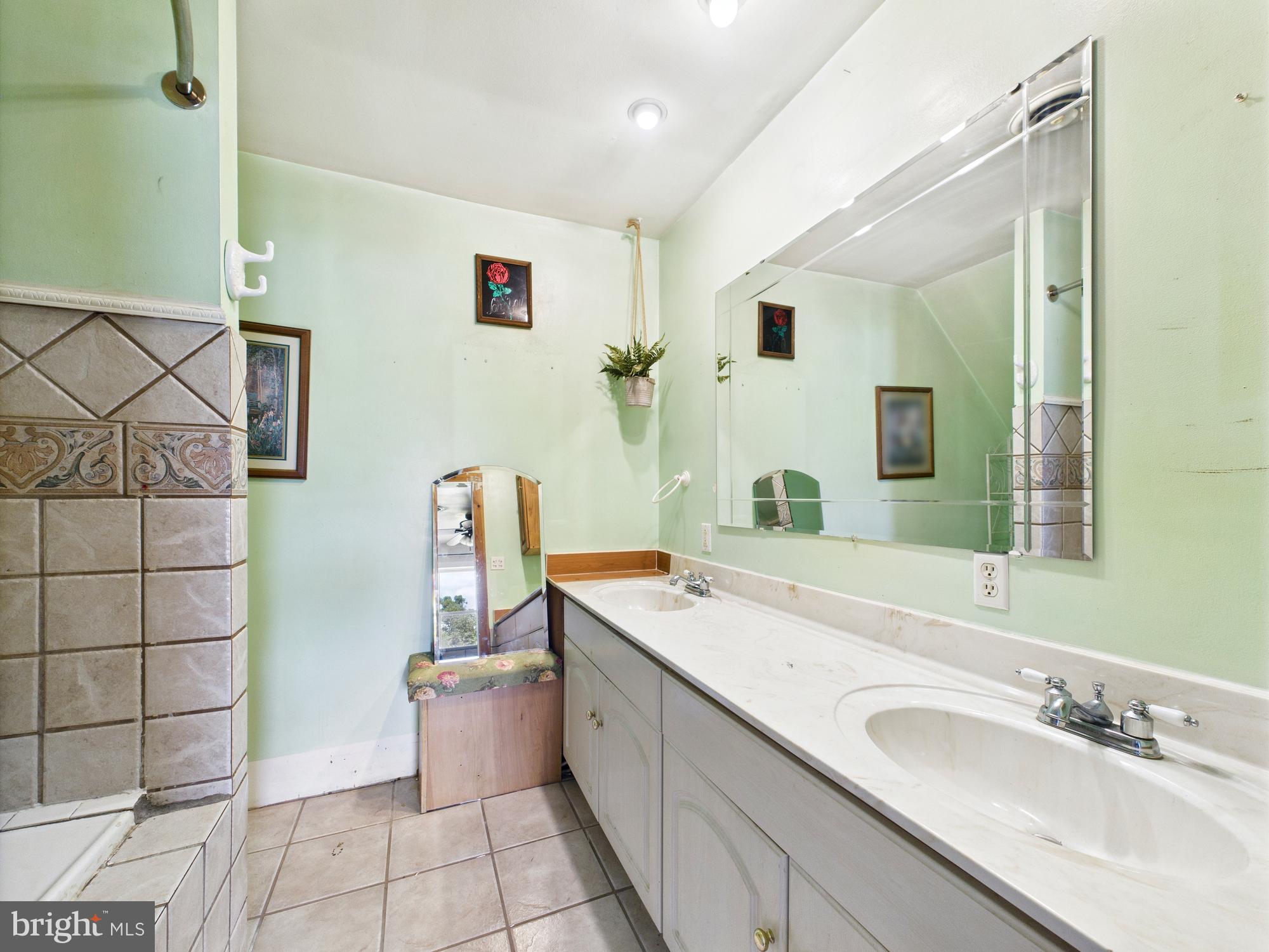 12502 Woodbridge Road Greenwood, DE 19950 - Photo 27 of 38 a spacious bathroom with a granite countertop sink a mirror and a shower