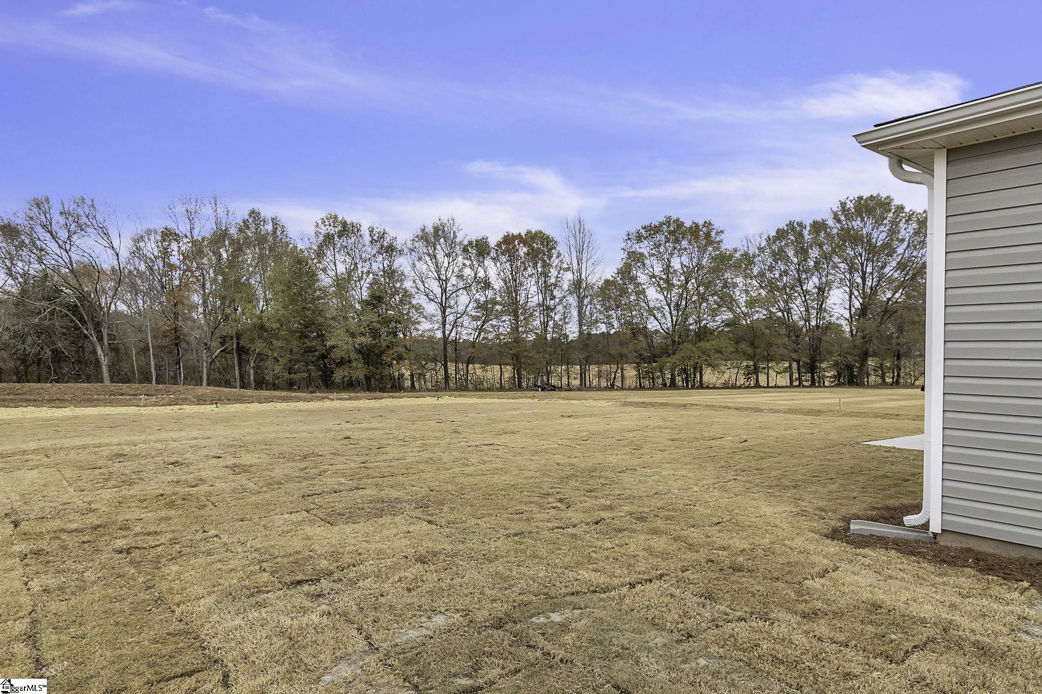 168 Emory Road Cowpens, SC 29330 - Photo 3 of 27