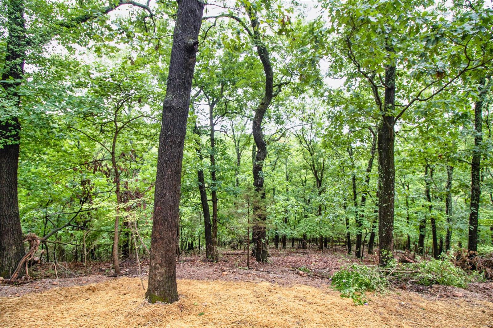 1302 Bear Canyon Road Ballwin, MO 63021 - Photo 60 of 61 Gallery Image 60