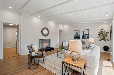a living room with furniture a rug a potted plant and a wooden floor