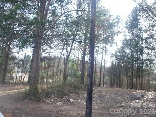 a view of a forest filled with trees