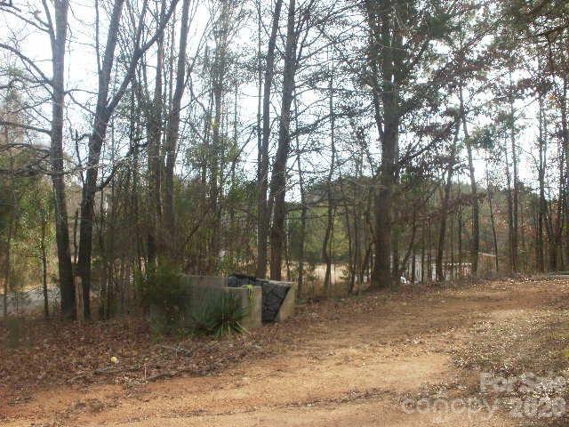 433 Parson Road Wadesboro, NC 28170 - Photo 13 of 20 a view of outdoor space with lots of trees