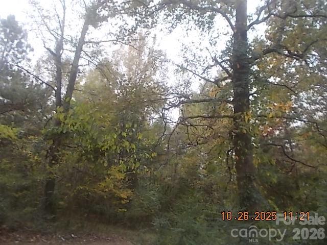 433 Parson Road Wadesboro, NC 28170 - Photo 18 of 20 a view of a tree