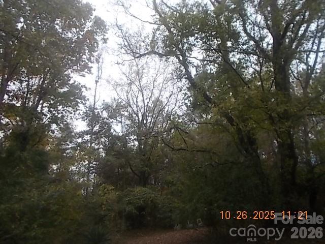 433 Parson Road Wadesboro, NC 28170 - Photo 19 of 20 a view of forest