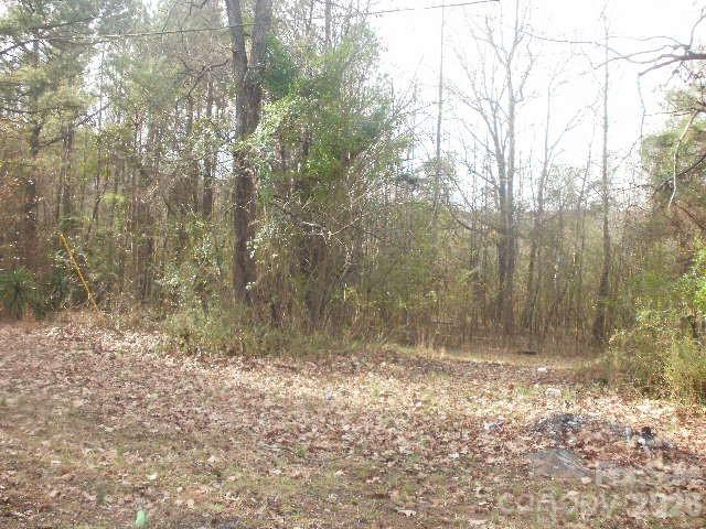 433 Parson Road Wadesboro, NC 28170 - Photo 3 of 20 a view of a yard with large trees