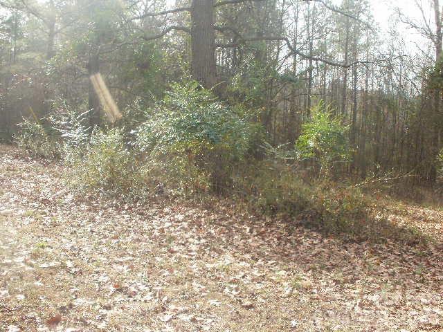 433 Parson Road Wadesboro, NC 28170 - Photo 6 of 20 a backyard of a house