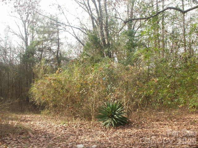 433 Parson Road Wadesboro, NC 28170 - Photo 7 of 20 a view of a yard with large trees