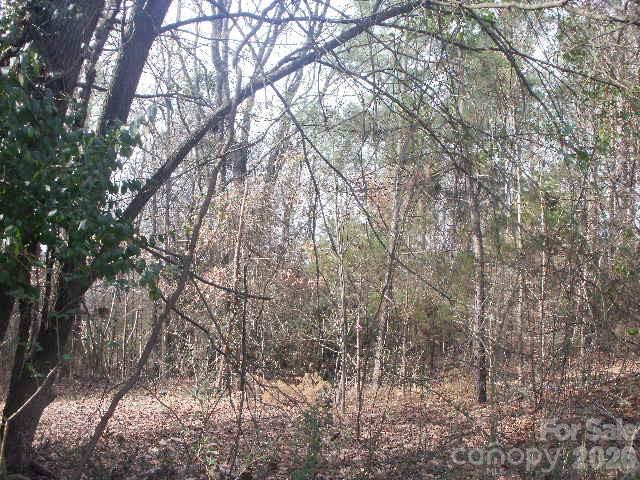 433 Parson Road Wadesboro, NC 28170 - Photo 8 of 20 a backyard of a house with lots of trees