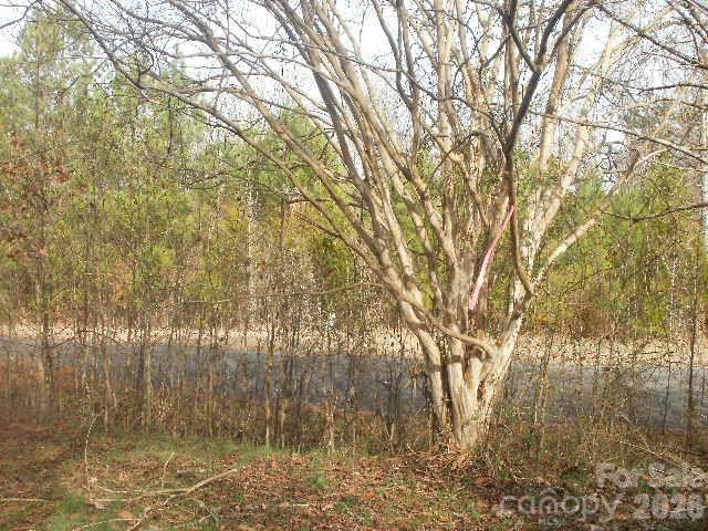 433 Parson Road Wadesboro, NC 28170 - Photo 10 of 20