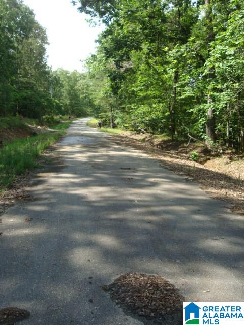 Evans Road Piedmont, AL 36272 - Photo 8 of 8