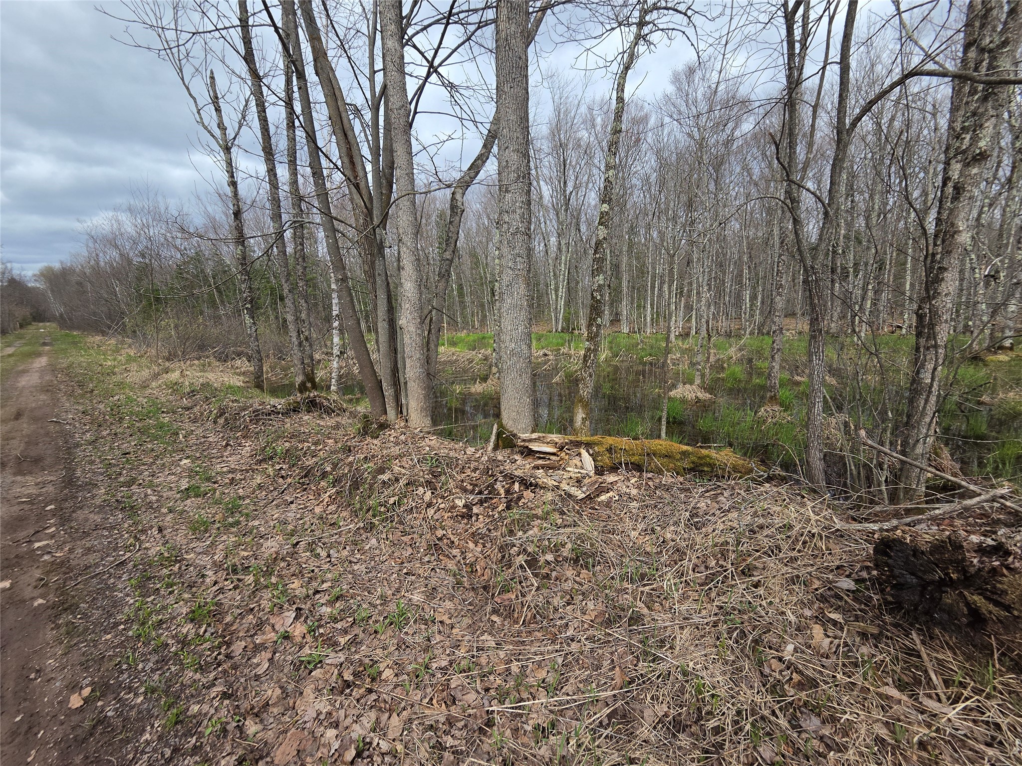12-xxx North Olson Road Hayward, WI 54843 - Photo 16 of 22