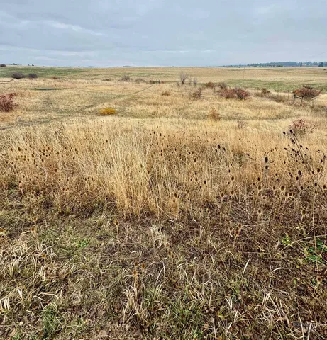 $219,000 | Tbd Lupine Drive, Grangeville, ID 83530