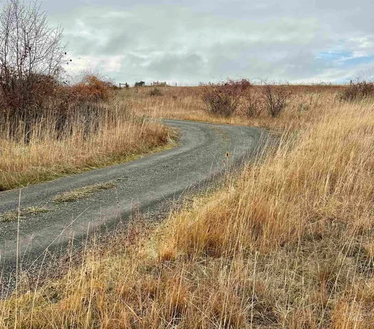 $219,000 | Tbd Lupine Drive, Grangeville, ID 83530