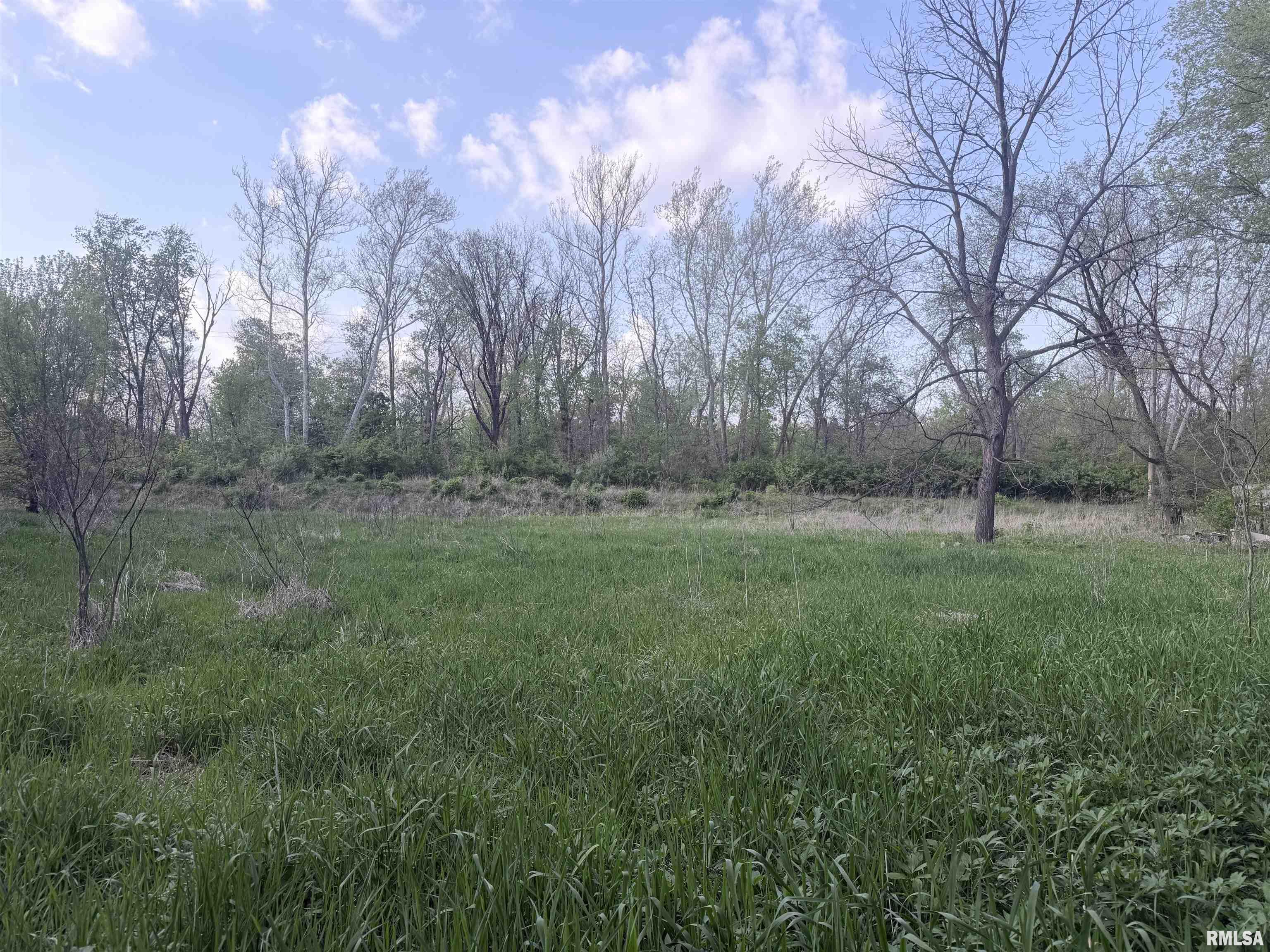 0 East 2950 Road Alvin, IL 61811 - Photo 1 of 10