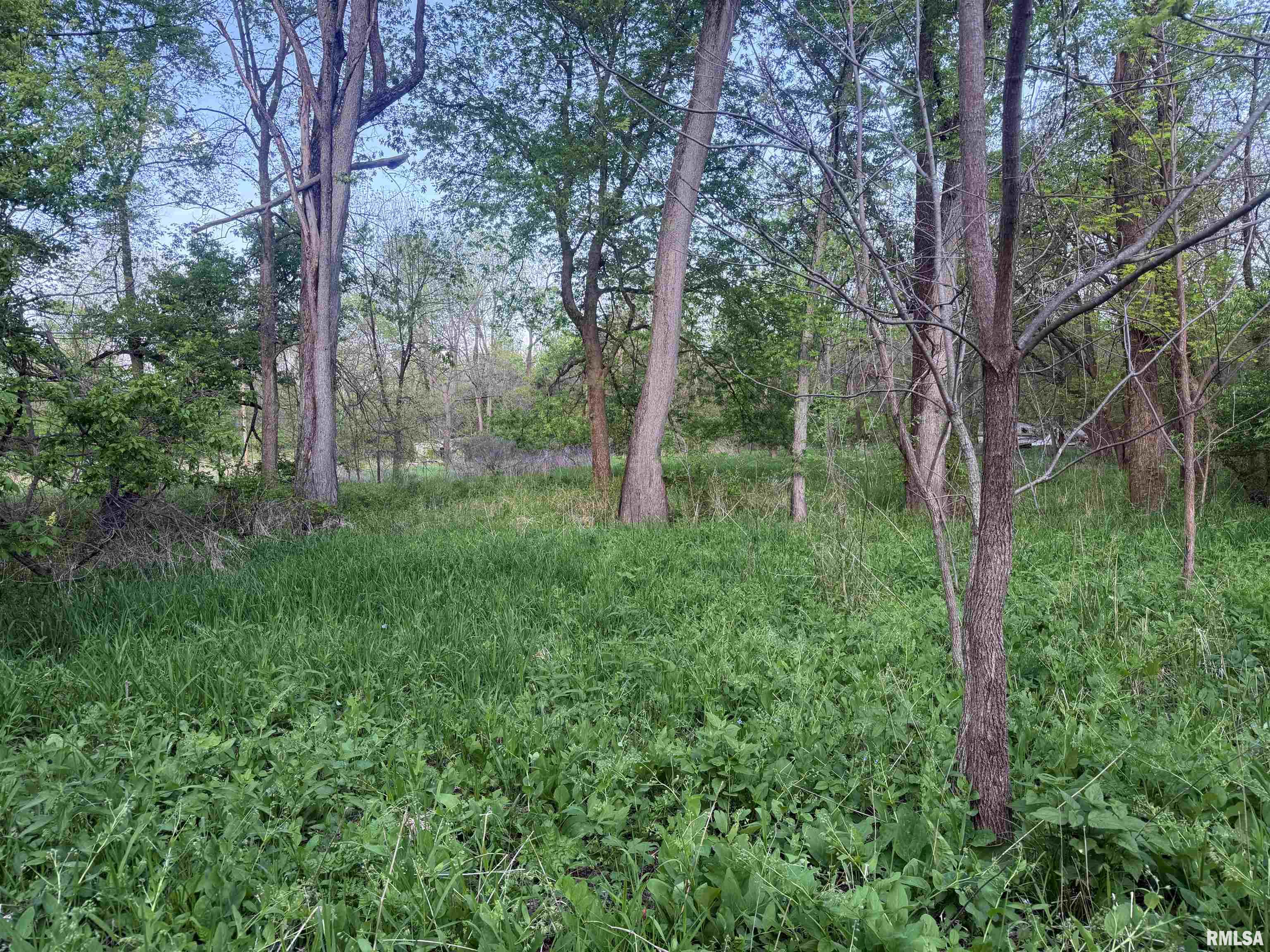 0 East 2950 Road Alvin, IL 61811 - Photo 4 of 10