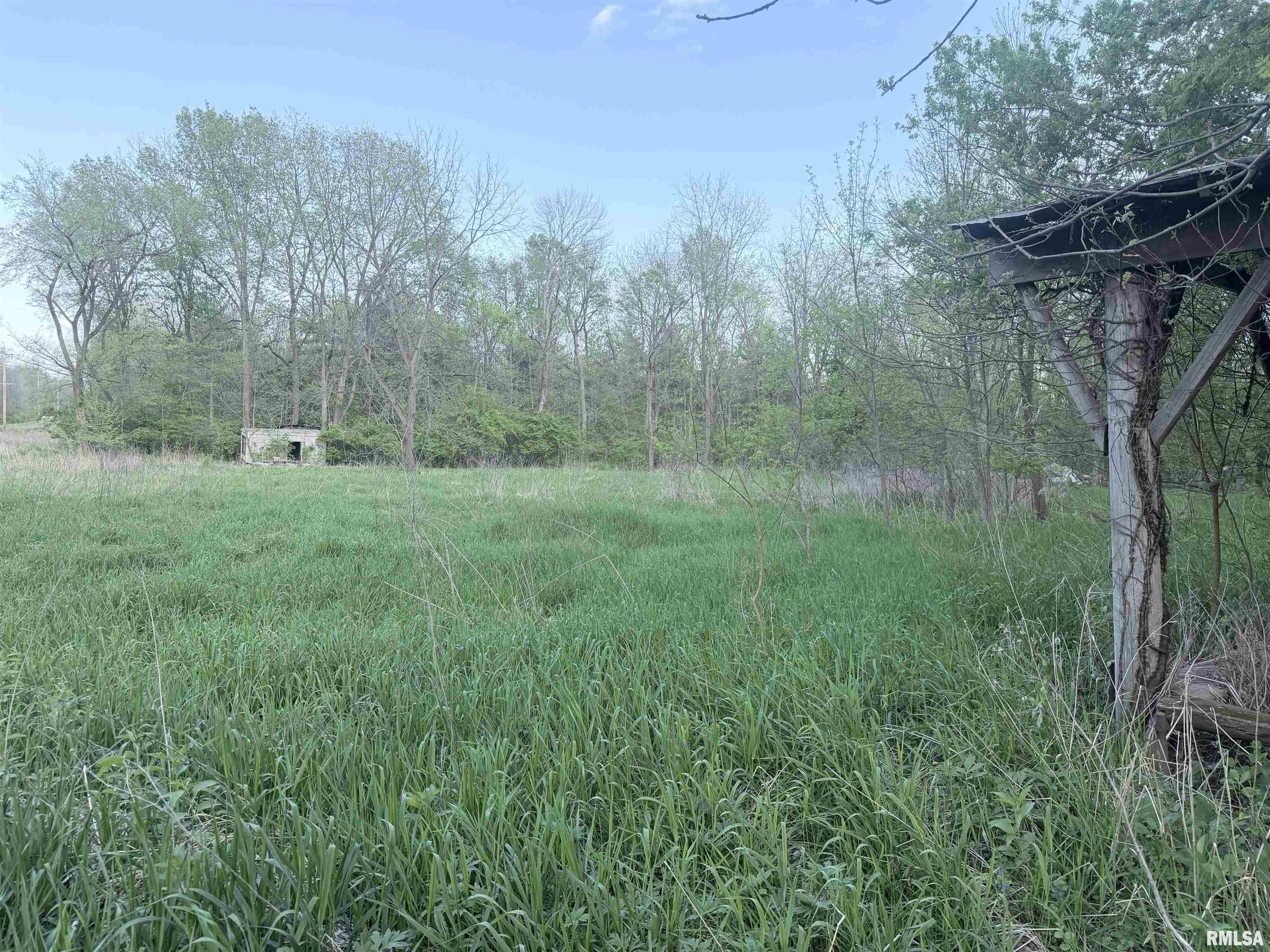 0 East 2950 Road Alvin, IL 61811 - Photo 8 of 10