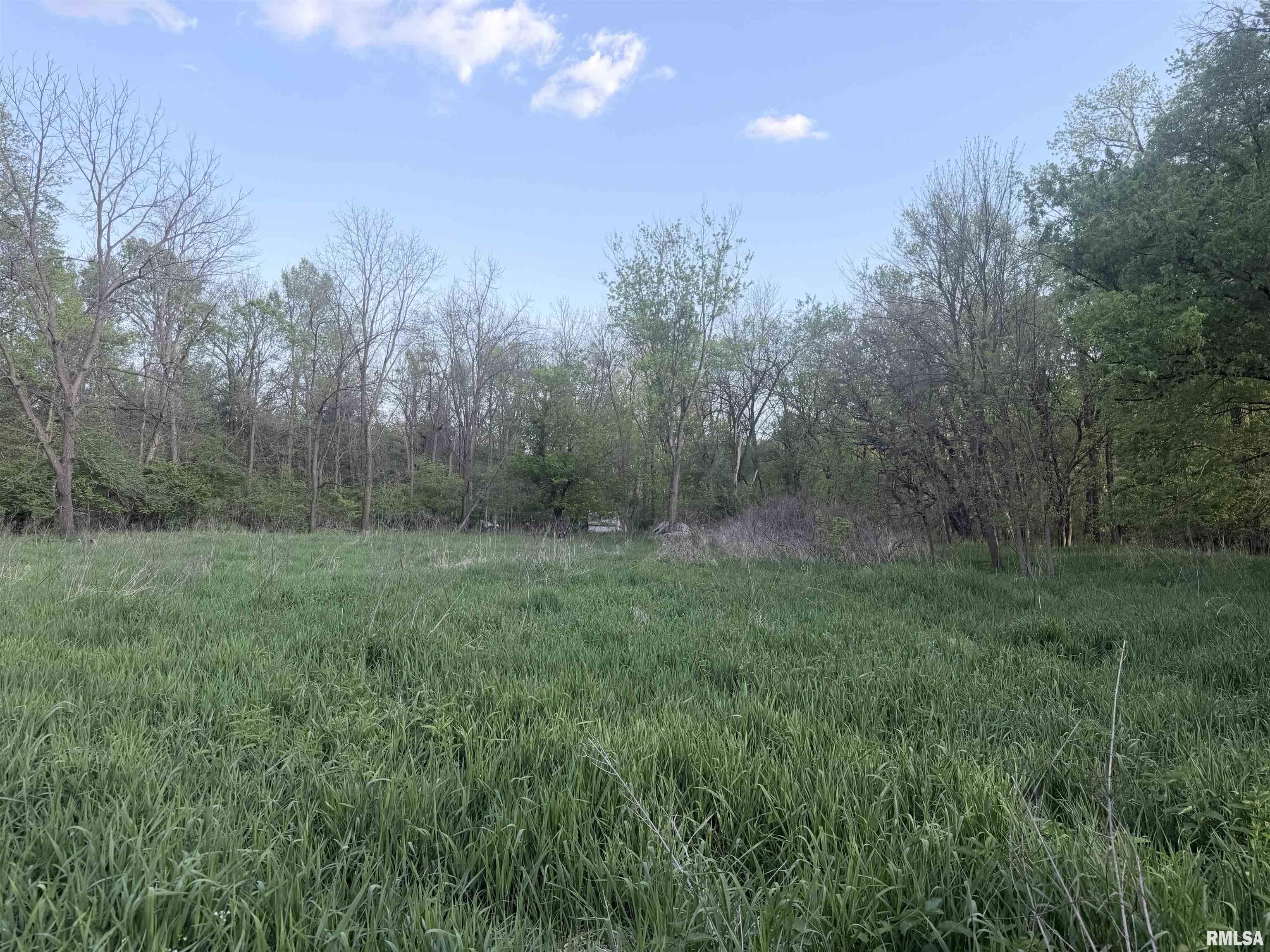 0 East 2950 Road Alvin, IL 61811 - Photo 9 of 10