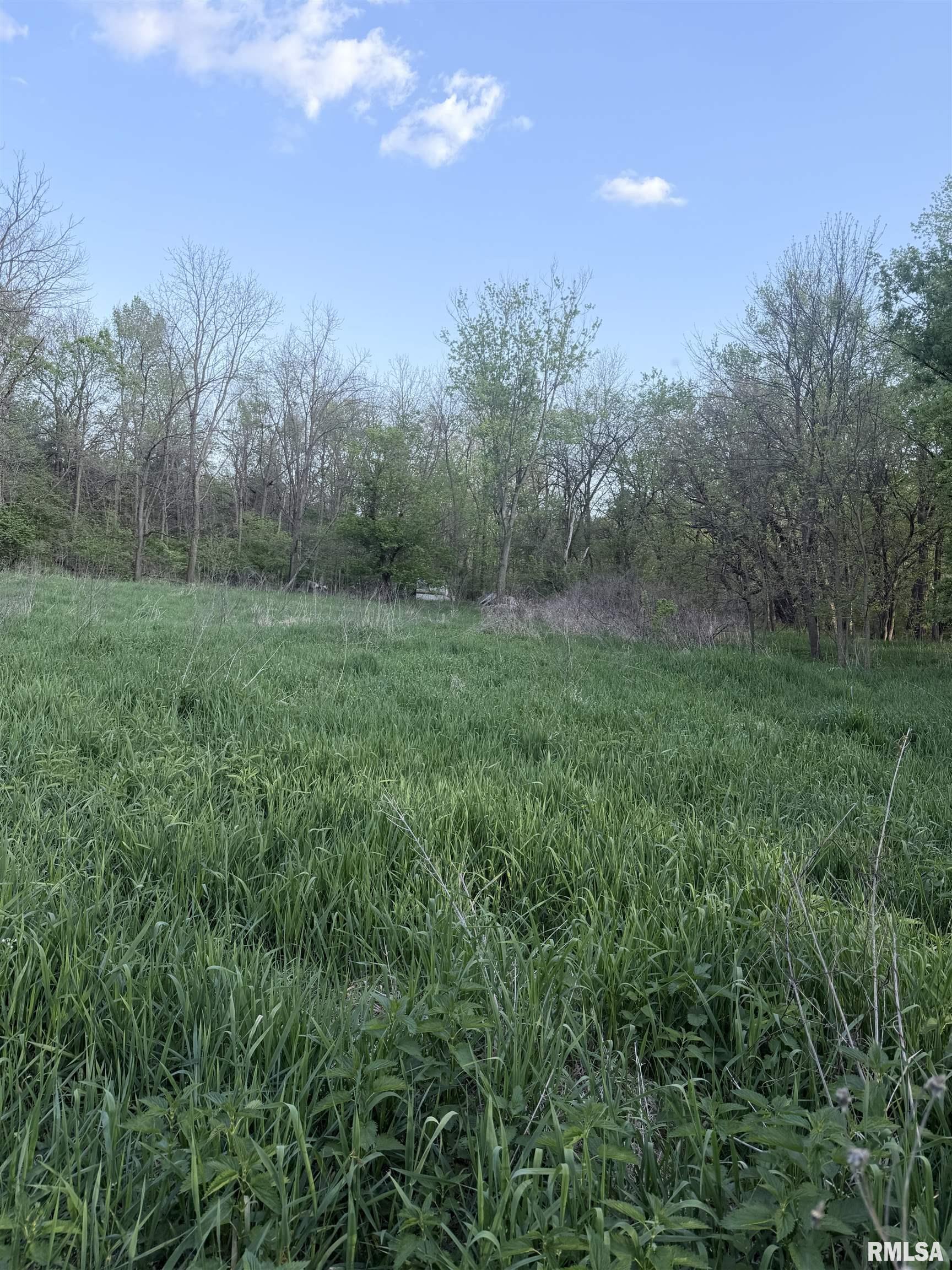 0 East 2950 Road Alvin, IL 61811 - Photo 10 of 10