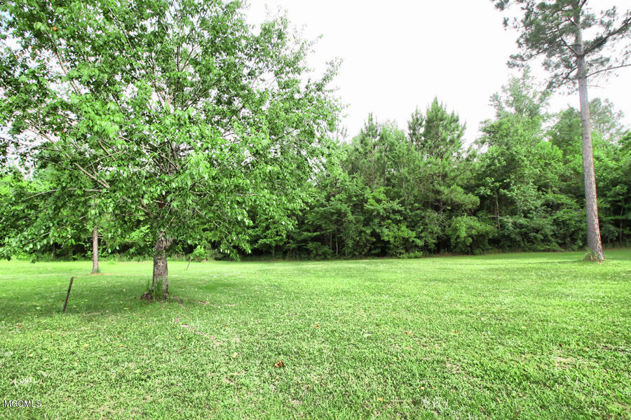 6812 Tanner Williams Road Lucedale, MS 39452 - Photo 29 of 36 7 (5)