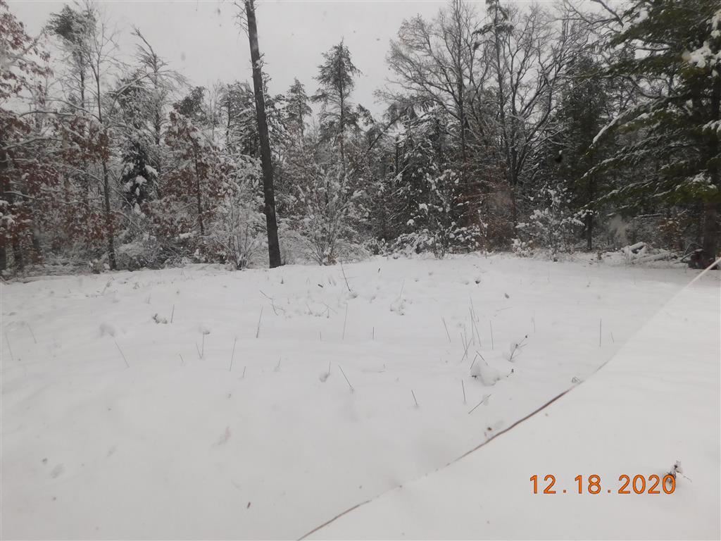 1307 East Stockwell Road Harrison, MI 48625 - Photo 10 of 24 1883140-9.JPG