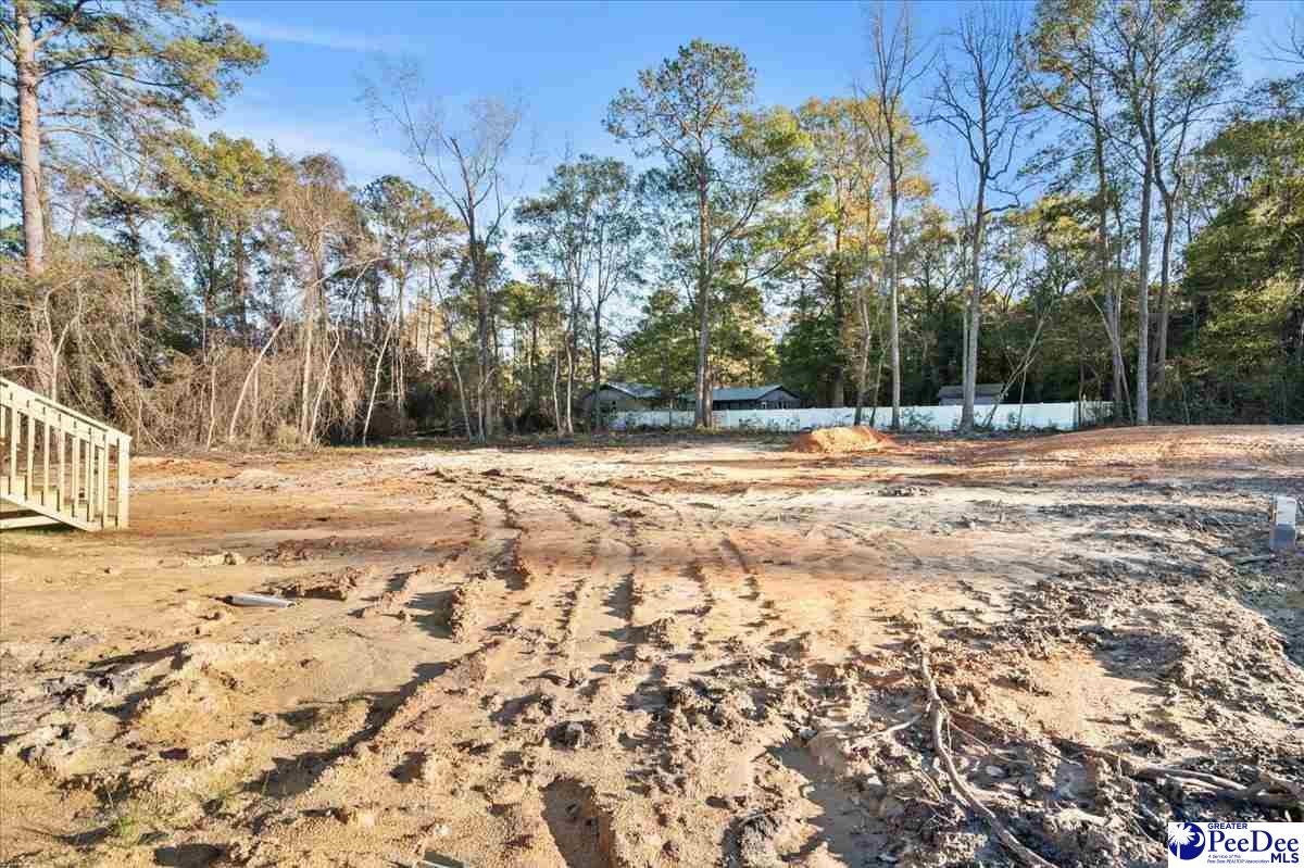 3525 Ballpark Road Effingham, SC 29541 - Photo 31 of 31 Gallery Image 31