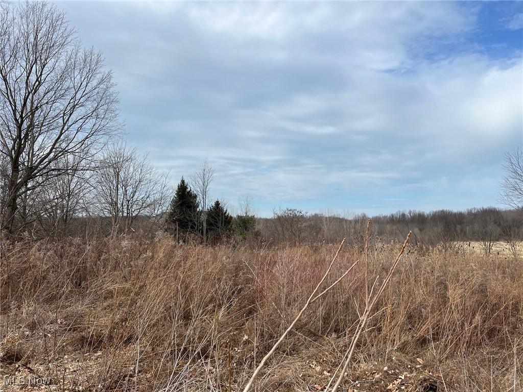 V/l North Ridge Road Vermilion, OH 44089 - Photo 1 of 3 View of lot