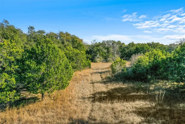 a view of a yard with a tree