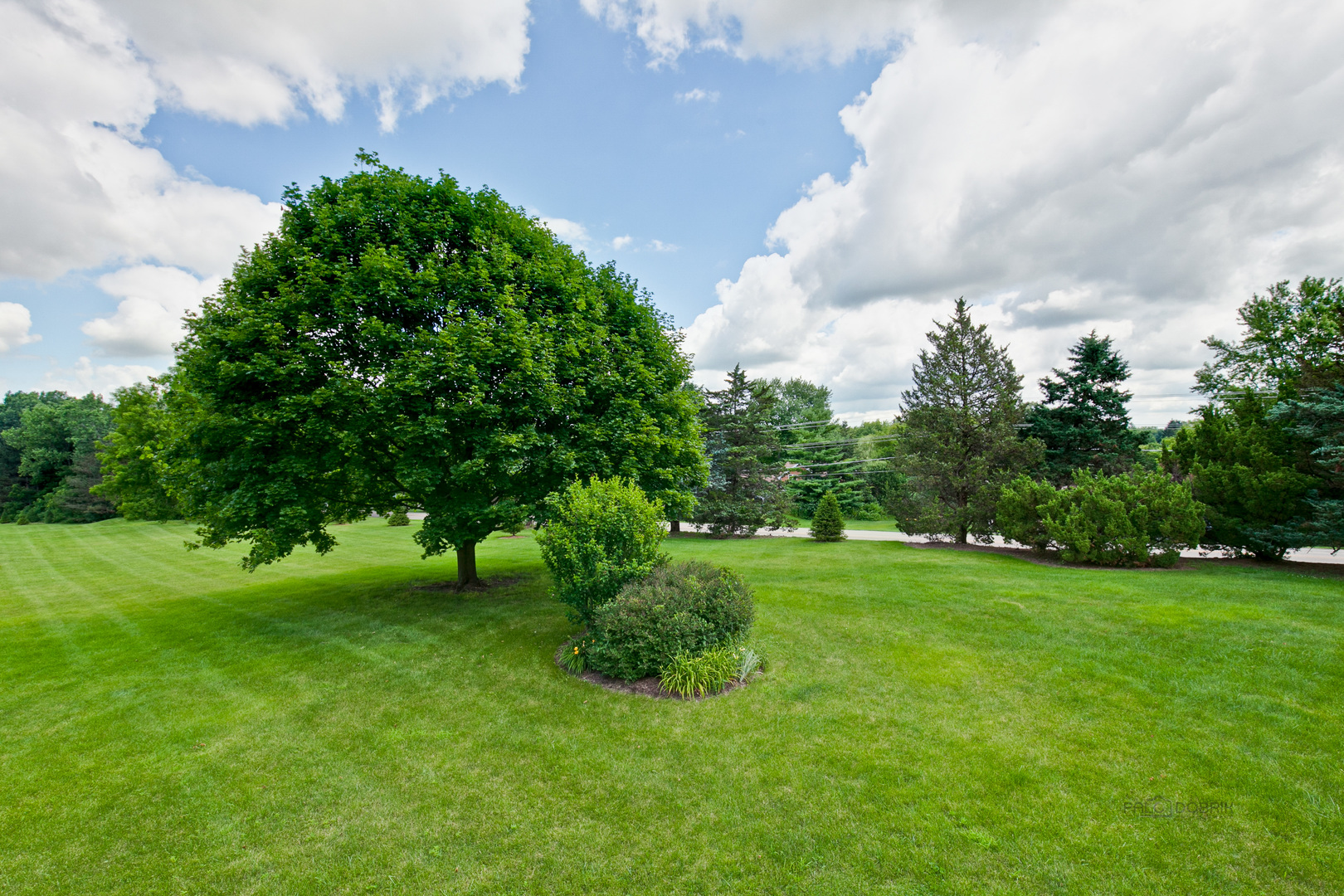 4112 White Ash Road Crystal Lake, IL 60014 - Photo 26 of 31