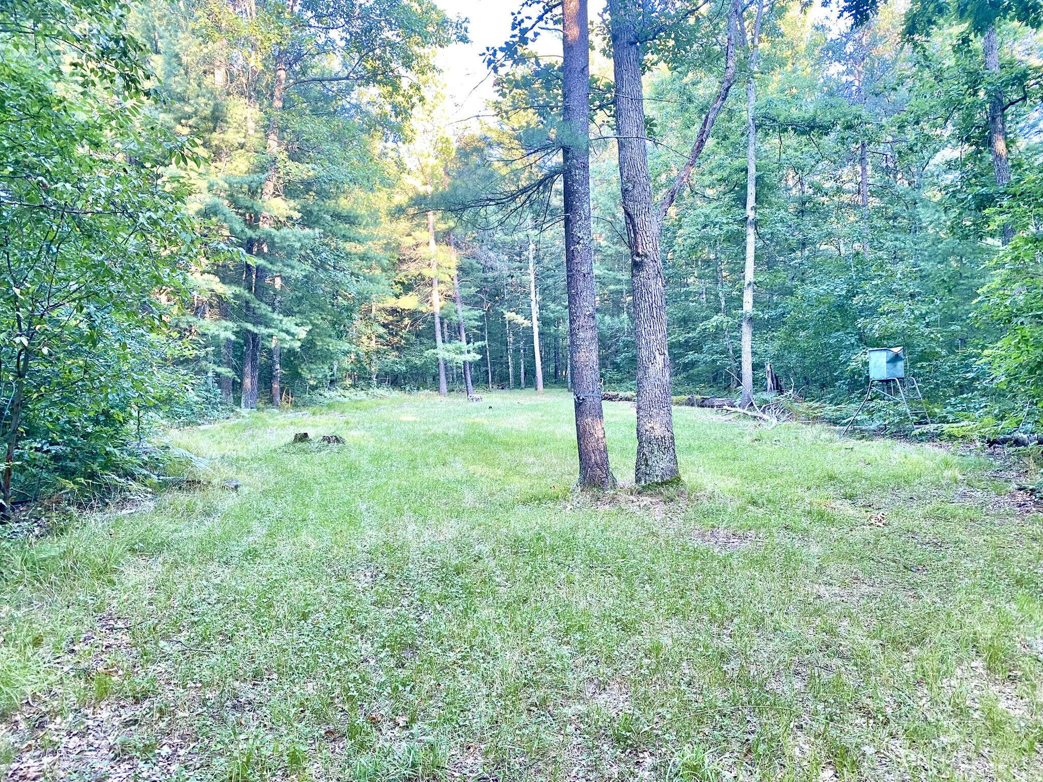 151 Stoney Ridge Road Wellston, MI 49689 - Photo 22 of 25 unnamed (3)